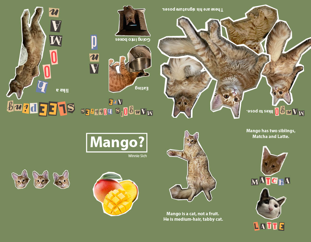 mango-zine